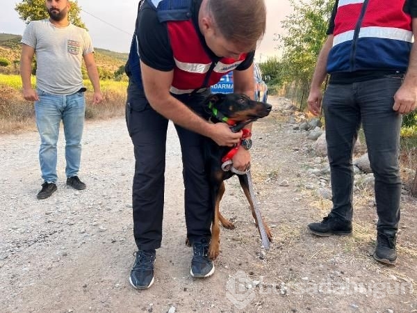 Korhan Berzeg'i arama çalışmalarında yeni karar!