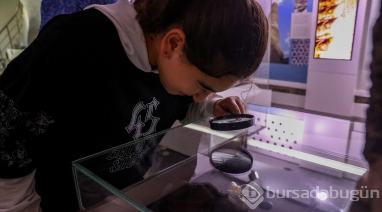 Diyarbakır Müzesi incir çekirdeğine işlenen Türk bayrağına ev sahipliği yapıyor
