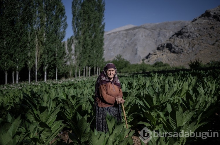 Cumhuriyet'in asırlık tanığı 10 kadın
