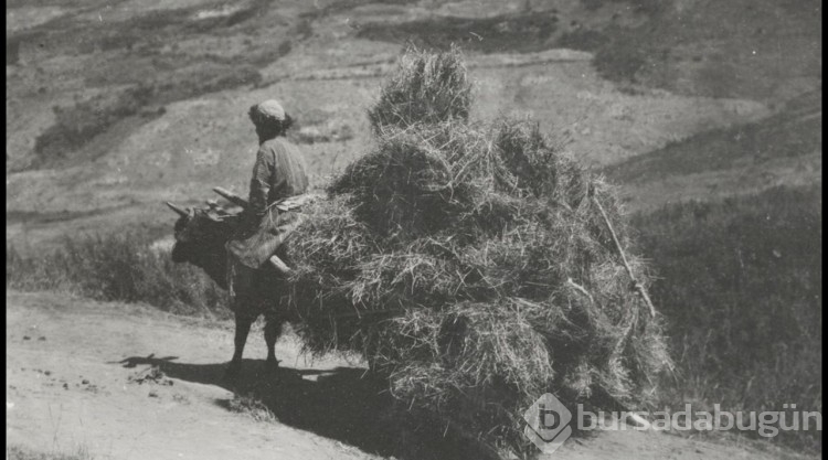 Türk boylarının 111 yıllık fotoğrafları gün yüzüne çıktı
