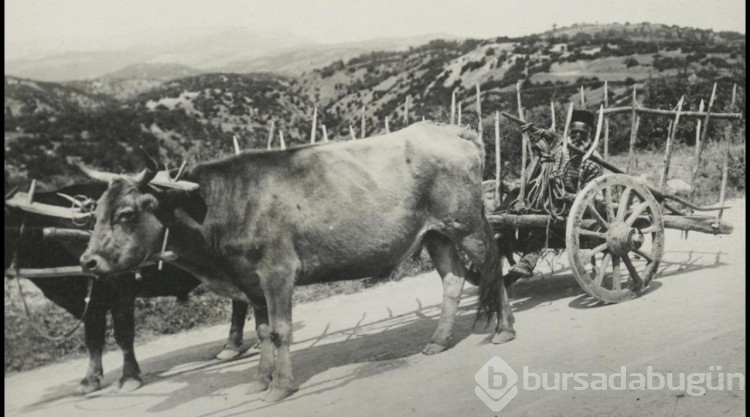 Türk boylarının 111 yıllık fotoğrafları gün yüzüne çıktı