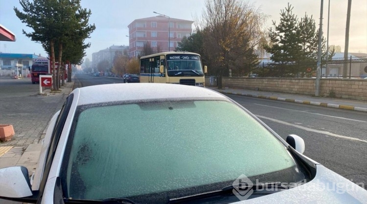 Ardahan ve Kars'ta soğuk hava kırağı, buzlanma ve sis oluşturdu
