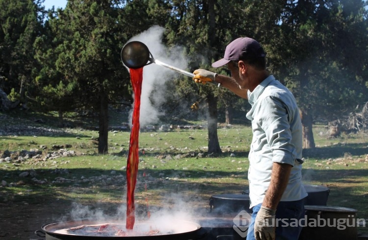 Toros Dağları'nın zirvesinden gelen şifa: Bir kaşığı hastalık düşmanı!
