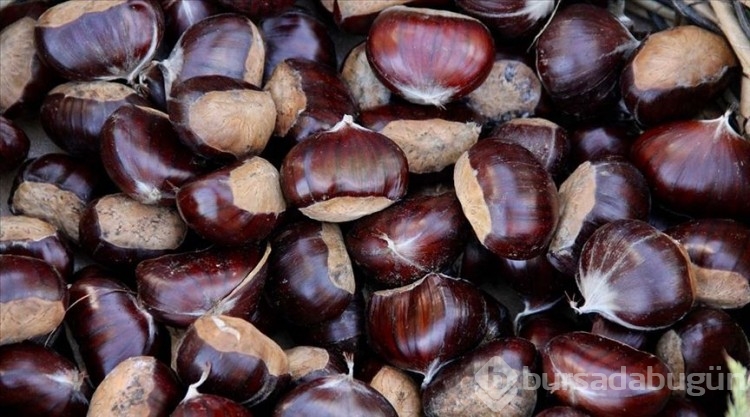Kestanenin 100 gramı 50 liradan satılıyor!