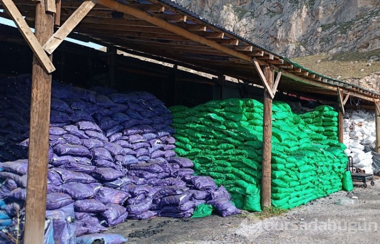 Van'dan tüm Türkiye'yi ilgilendiren gerçek ortaya çıktı