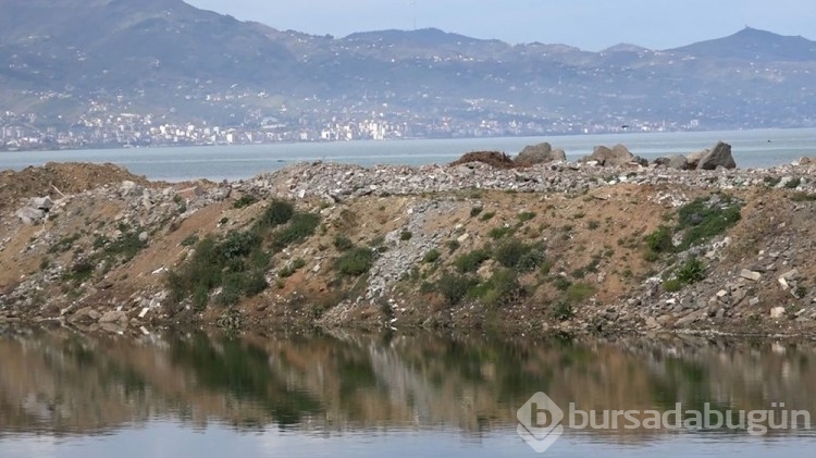 Doğu Karadeniz'de asbest tehlikesi
