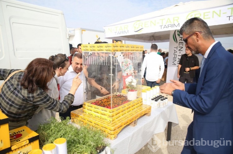 Mersinli çiftçilerin korkulu rüyası oldu