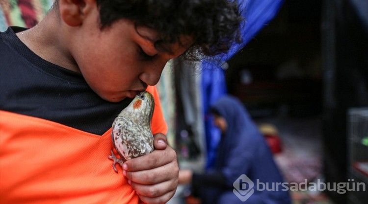 Nasır Hastanesi'ne sığınan Filistinli, beslediği hayvanlarını da götürdü
