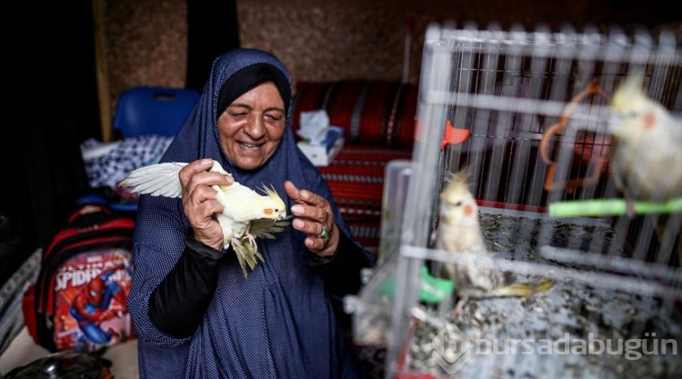 Nasır Hastanesi'ne sığınan Filistinli, beslediği hayvanlarını da götürdü
