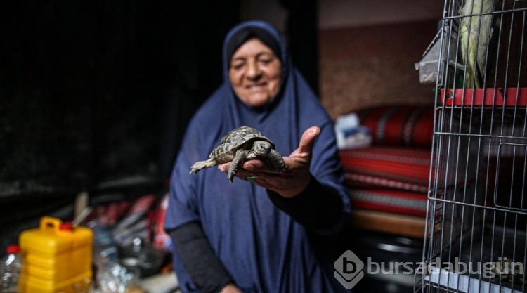 Nasır Hastanesi'ne sığınan Filistinli, beslediği hayvanlarını da götürdü
