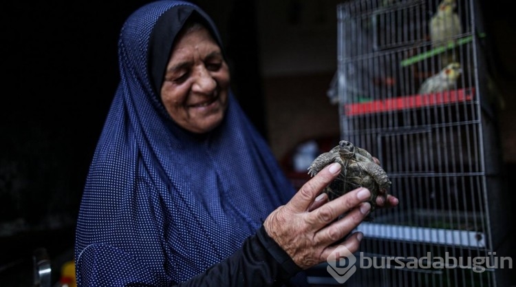 Nasır Hastanesi'ne sığınan Filistinli, beslediği hayvanlarını da götürdü
