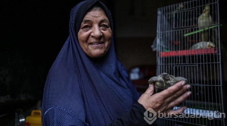 Nasır Hastanesi'ne sığınan Filistinli, beslediği hayvanlarını da götürdü

