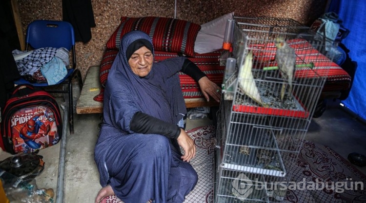 Nasır Hastanesi'ne sığınan Filistinli, beslediği hayvanlarını da götürdü
