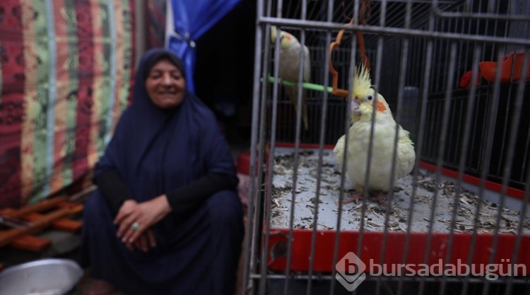 Nasır Hastanesi'ne sığınan Filistinli, beslediği hayvanlarını da götürdü

