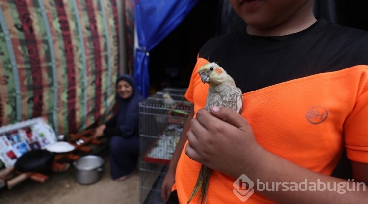 Nasır Hastanesi'ne sığınan Filistinli, beslediği hayvanlarını da götürdü
