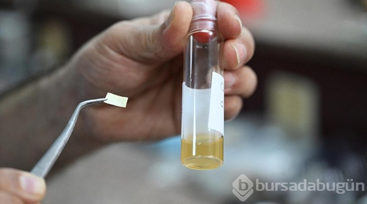 Yerli hava kirliliği sensörleri daha yüksek çözünürlükte veri sağlayabilecek
