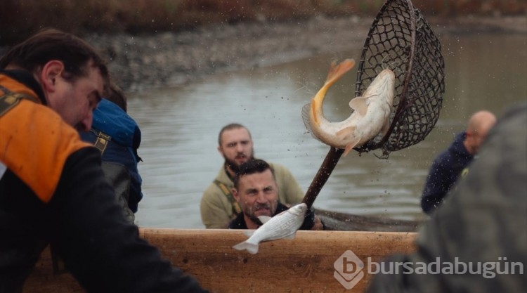 Slovakyalı balıkçıların geleneksel balık avı
