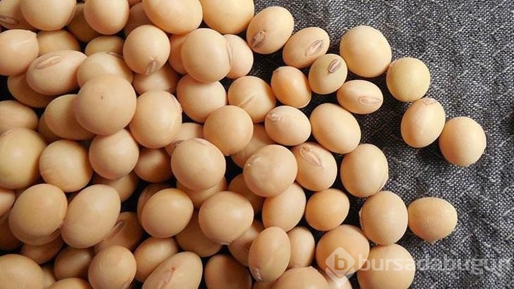Kilo verdiren en etkili besin buymuş!
