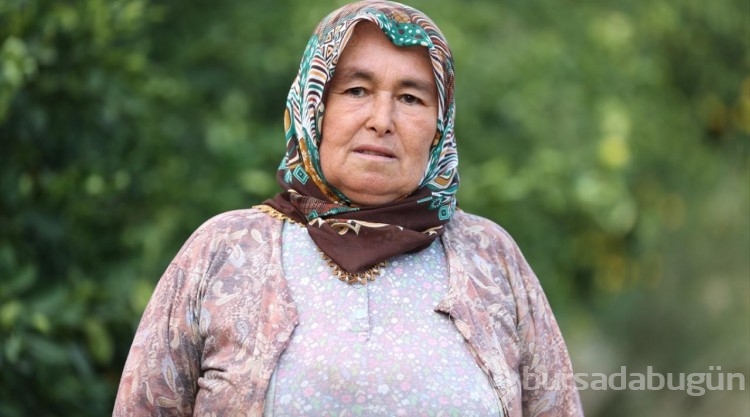 Çukurovalı limon üreticileri fiyat desteği istiyor
