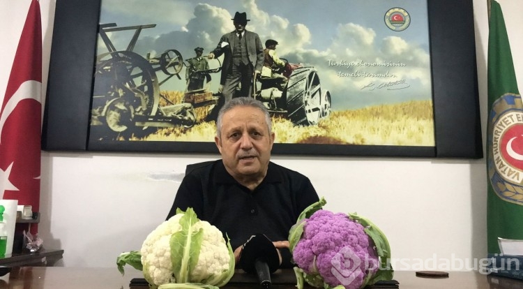 Batmanlı çiftçi hasat sırasında gördüğü şeyle şaşkına döndü