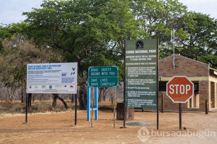 Chobe Ulusal Parkı: Afrika'nın fil cenneti