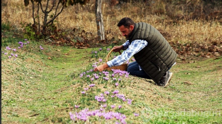 Türkiye'de topraktan çıkan en pahalı şey