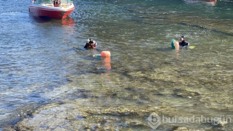 Güney Kore'nin deniz kadınları: Derin sularda yaşam mücadelesi