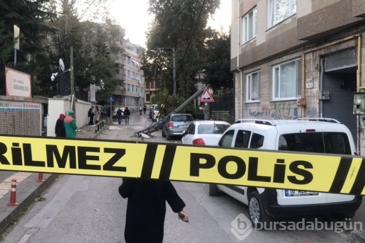 Bursa'da lodos etkili oldu, ağaçlar araçların üzerine devrildi