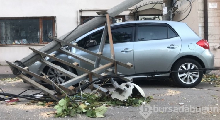 Bursa'da lodos etkili oldu, ağaçlar araçların üzerine devrildi