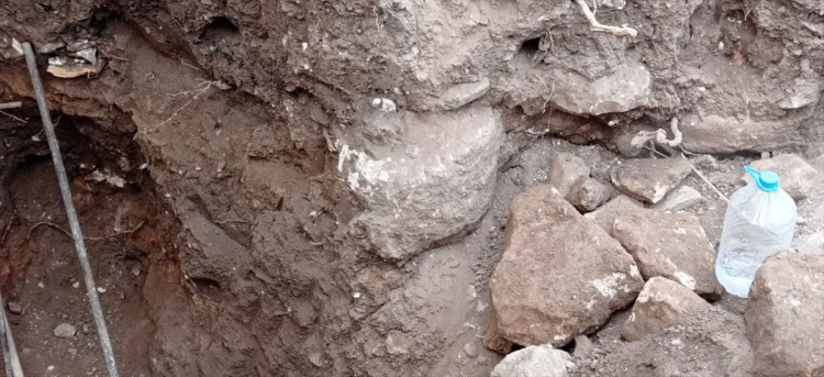 Define aramak için naylon çadır kurmuşlar