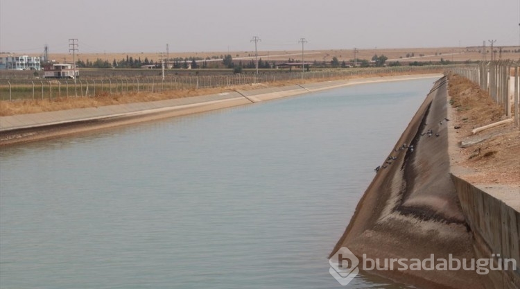 GAP ile suya kavuşan topraklar bereketlendi