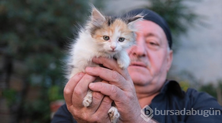 Kedi sevgisi müteahhitlerin tekliflerine "dur" dedirtti