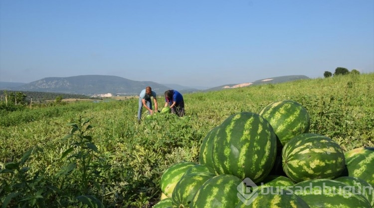 Bilecik'in coğrafi işaretli ürünlerinin artırılarak ekonomiye kazandırılması hedefleniyor
