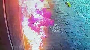 İstanbul'da otele ait suni çiçekleri koparan kişi yangın çıkardı