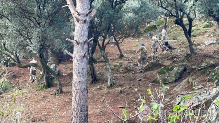 Aydın'da selin bilançosu: Kayıp çiftçi hala aranıyor
