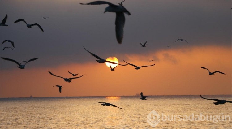 Tekirdağ'da gün doğumu
