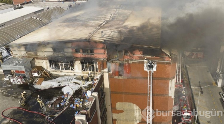 İstanbul'da sanayi sitesinde yangın
