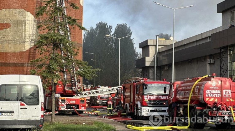 İstanbul'da sanayi sitesinde yangın
