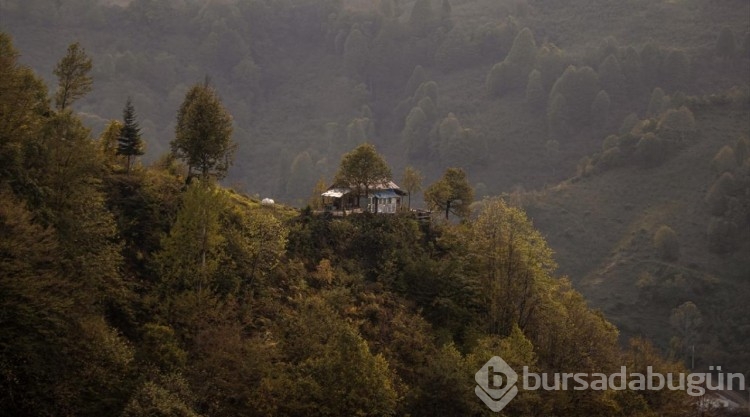 Güzeldere Şelalesi Tabiat Parkı'nda sonbahar güzelliği
