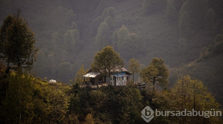 Güzeldere Şelalesi Tabiat Parkı'nda sonbahar güzelliği
