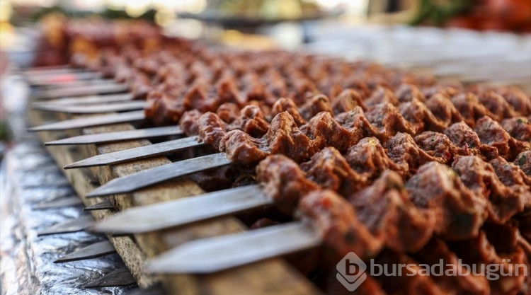 Ankara'da "Osmaniye Tanıtım Günleri" başladı
