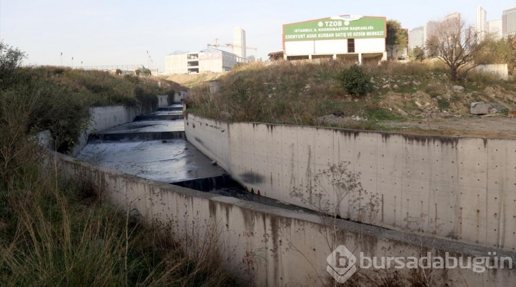 Haramidere'nin koku ve kirlilik sorunu çözüm bekliyor
