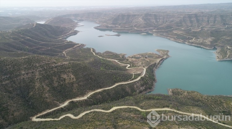 Antalya'da küle dönen ormanlarda 5,5 milyon fidan toprakla buluştu
