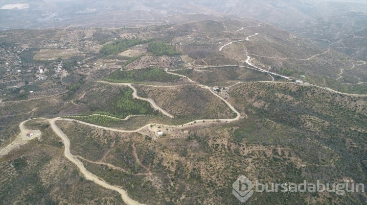 Antalya'da küle dönen ormanlarda 5,5 milyon fidan toprakla buluştu
