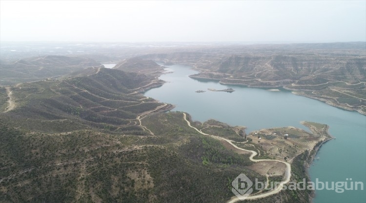 Antalya'da küle dönen ormanlarda 5,5 milyon fidan toprakla buluştu

