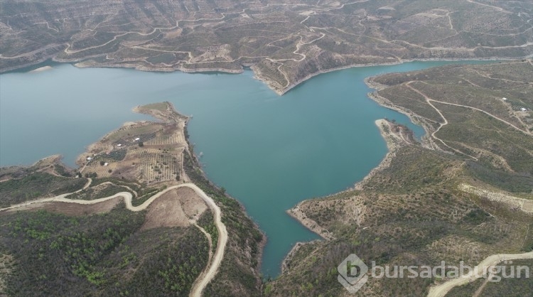 Antalya'da küle dönen ormanlarda 5,5 milyon fidan toprakla buluştu
