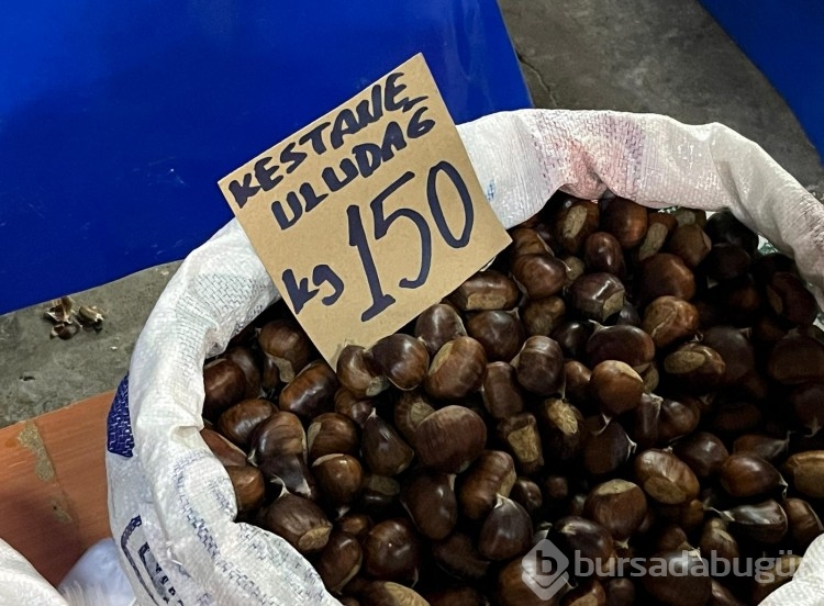 Bursa'da hafta sonu pazar tezgahlarında fiyatlar ne durumda?  
