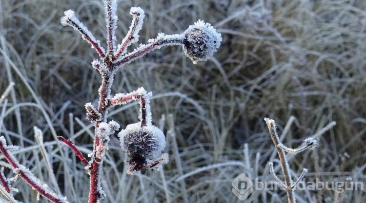 Kars'ta soğuk hava etkili oluyor
