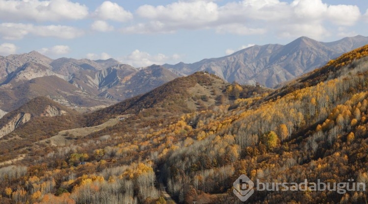 Güz renklerine bürünen Salördek ormanları turizme katkı sağlıyor
