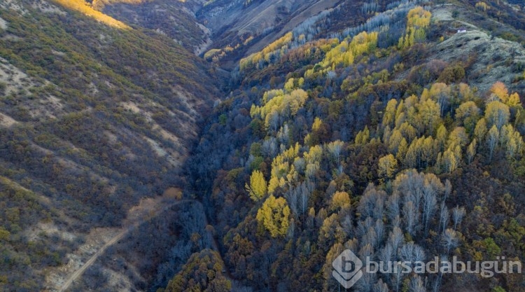 Güz renklerine bürünen Salördek ormanları turizme katkı sağlıyor
